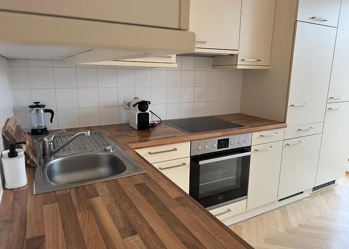 Daire 100qm, 2 Bedroom Schoenbrunn, Central, Balcony Viyana